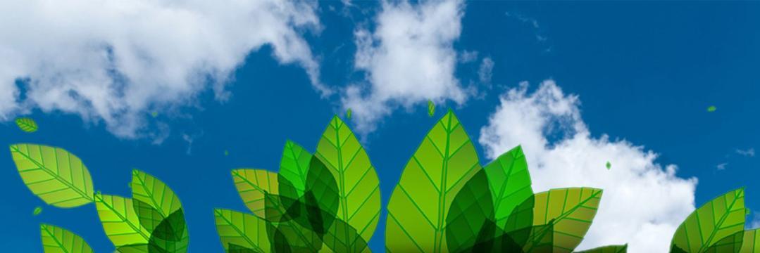 Nature Obsession banner