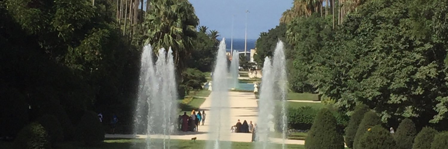 fzzarouri's profile banner image