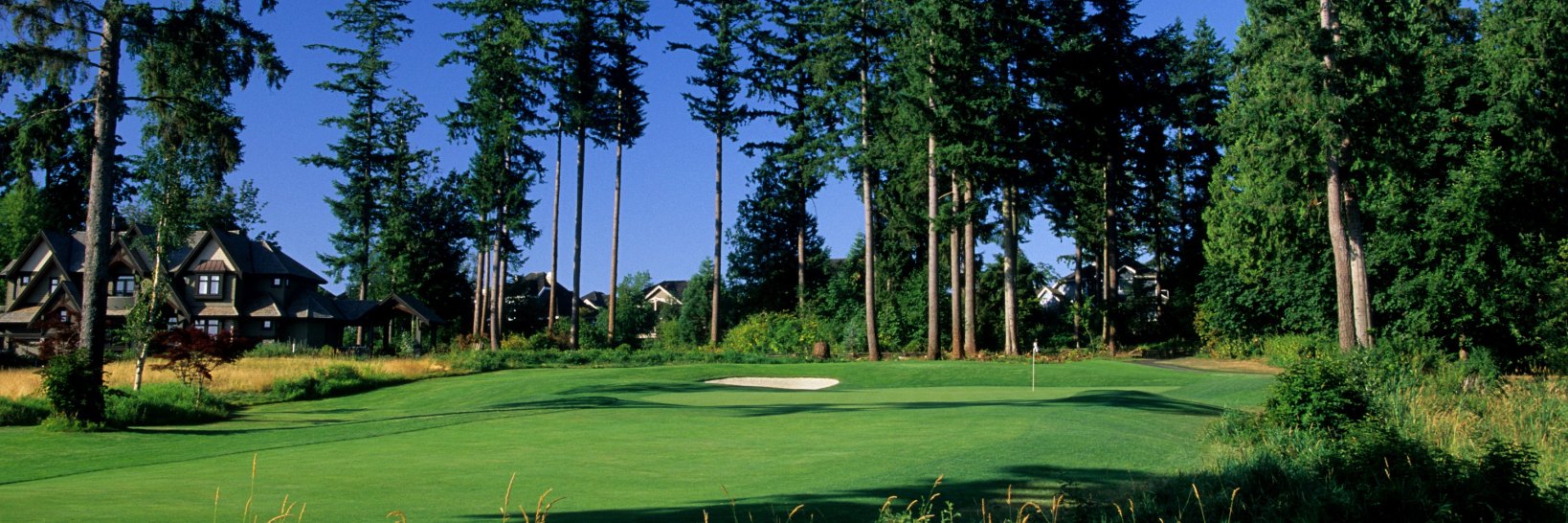 SR Performance Golf Academy banner