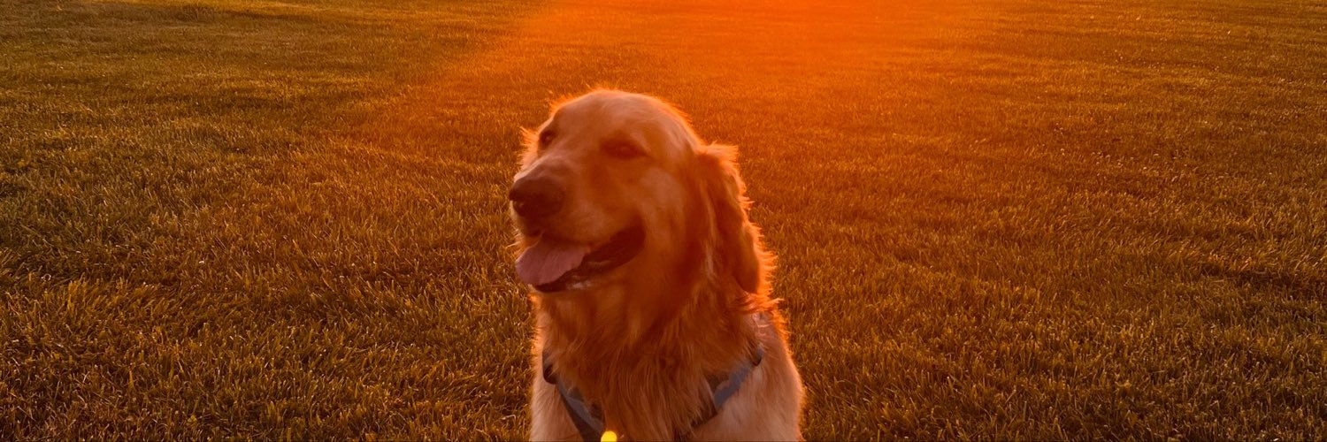 LegitNinjaBMS's profile banner image