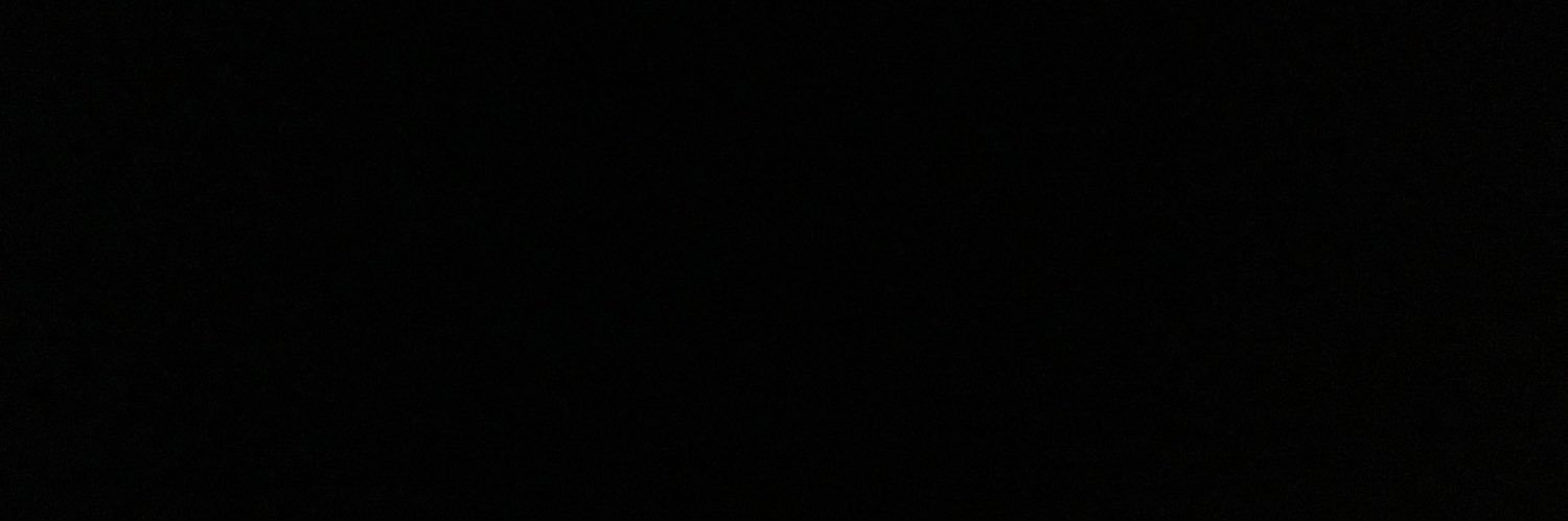 VincentMongrain's profile banner image
