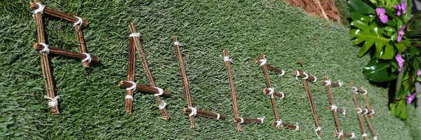 FallaPalleter Profile Banner