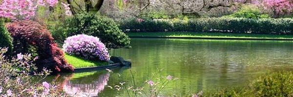 JoseMCastillo's profile banner image
