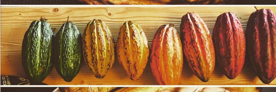 Nico_Pastry's profile banner image