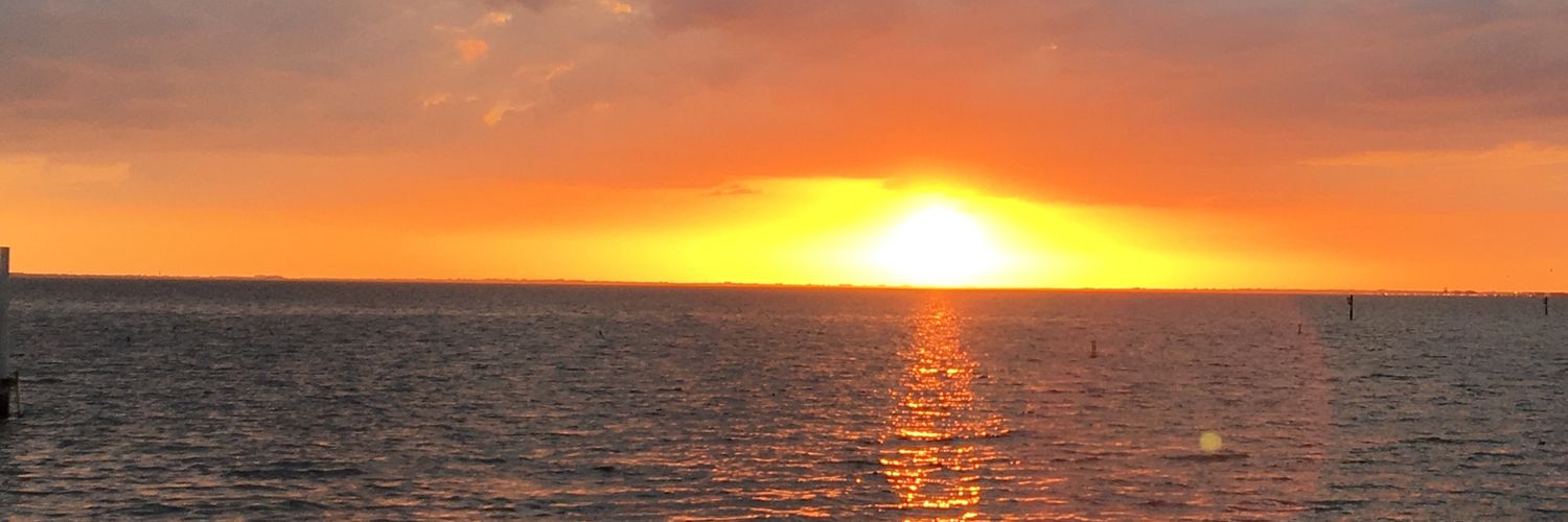 🐙🍓⛸🎵☏Tazz banner