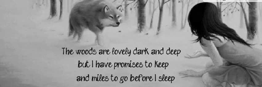wolf venable banner