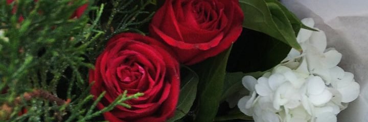 ASofiaNM's profile banner image