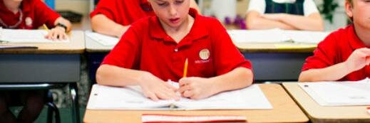 Westminster School banner