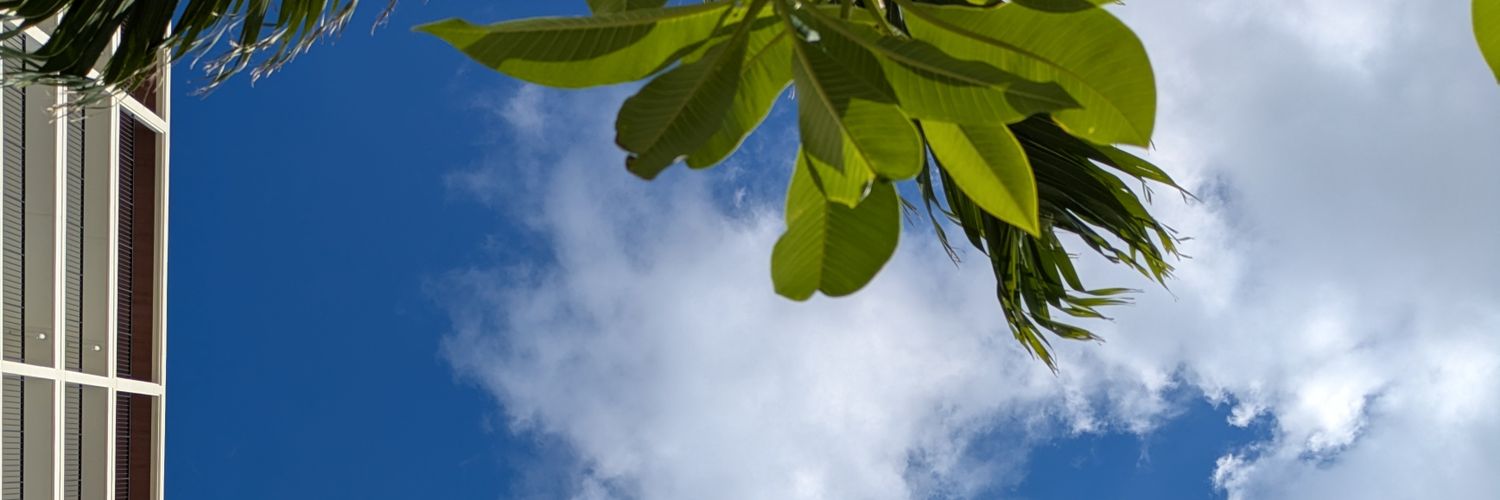 itochaam's profile banner image