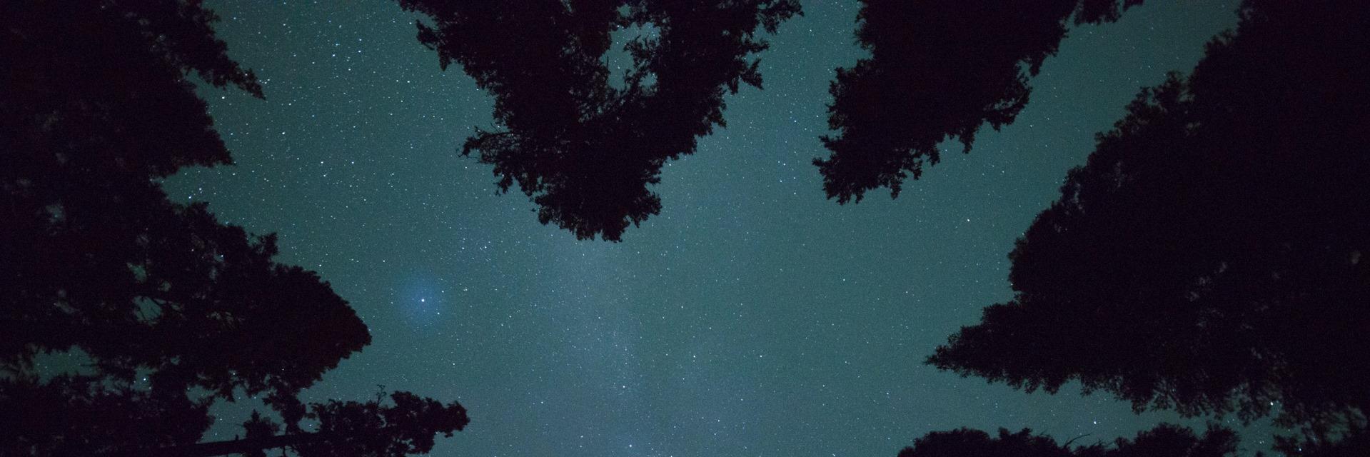 seanrawls's profile banner image