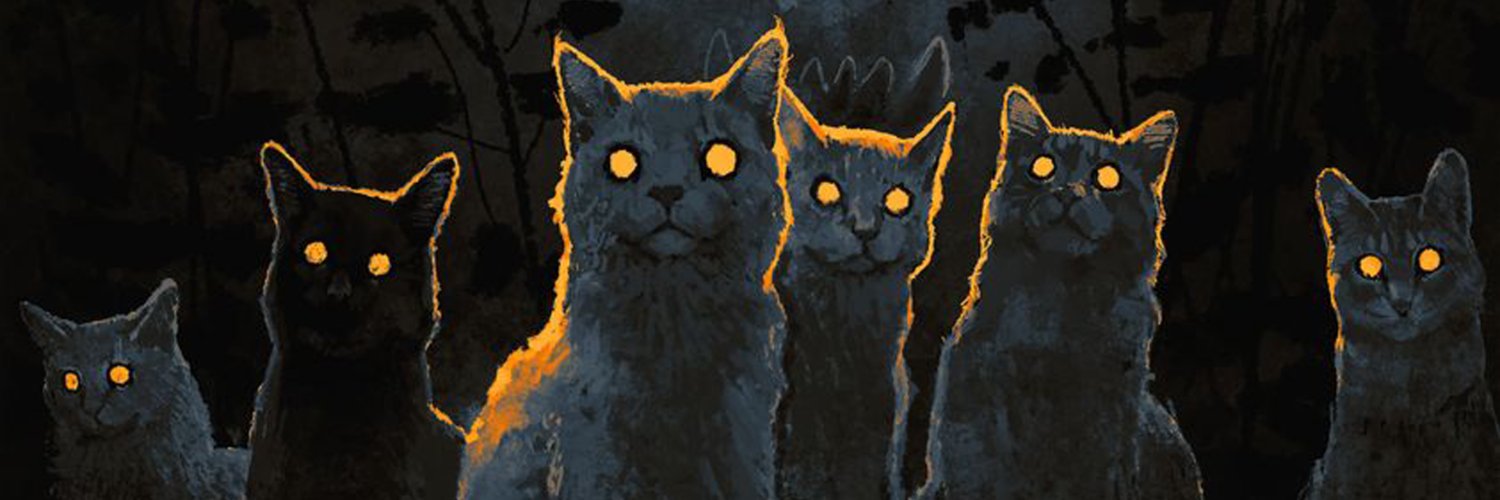 jafstraycat's profile banner image