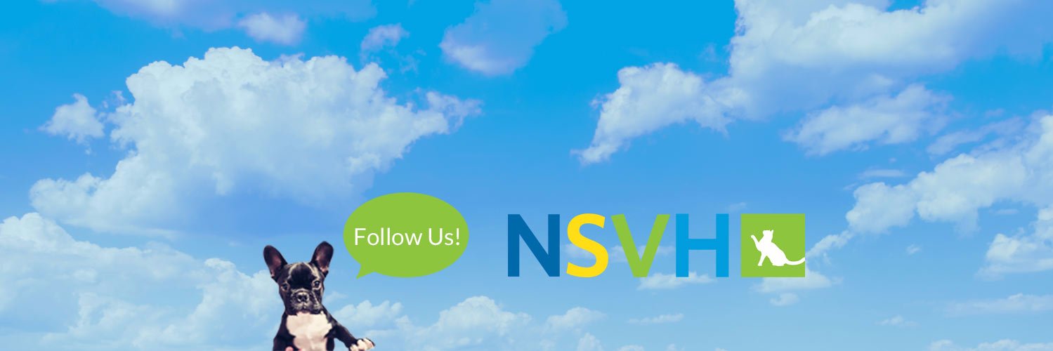 DrDVMD's profile banner image