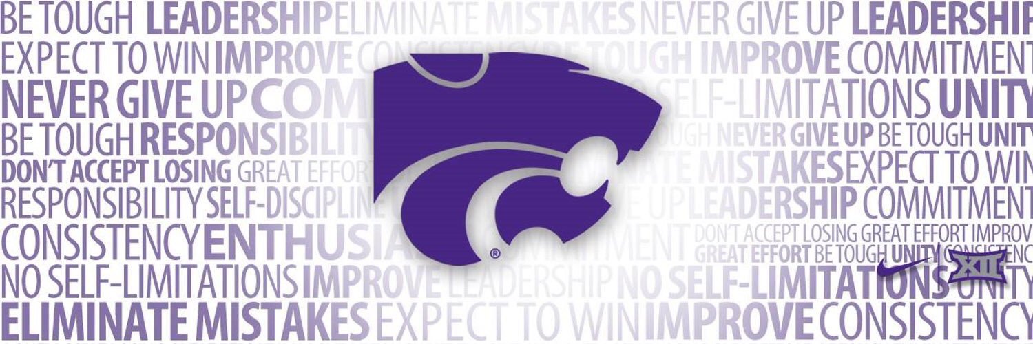 TheRealMize's profile banner image