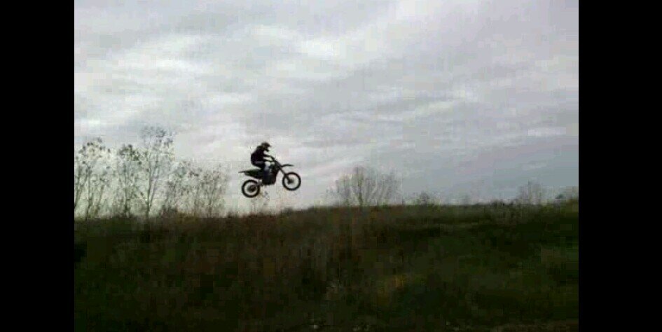 levi lewison banner