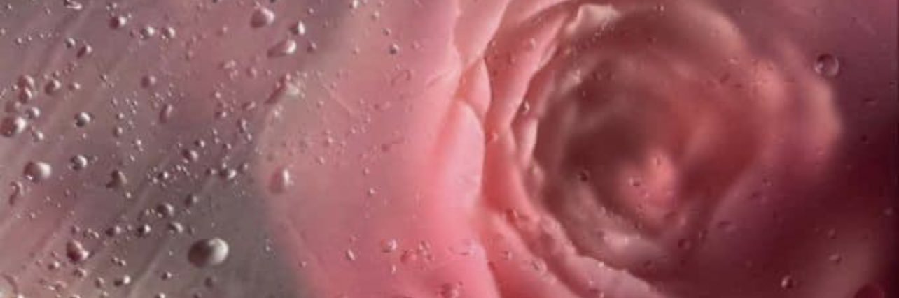 ilikepeachesss's profile banner image