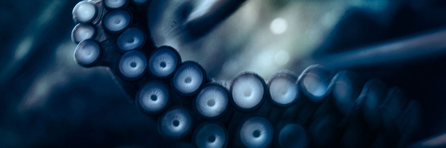 a_marchica's profile banner image