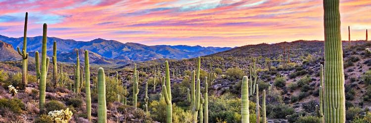 noneya - I believe #BLM banner