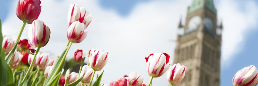 ottawacoc's profile banner image