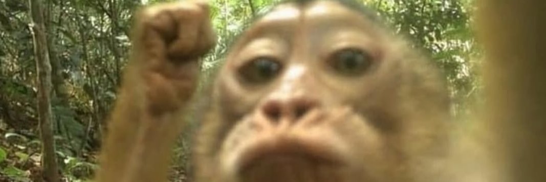 KannibalTurtles's profile banner image
