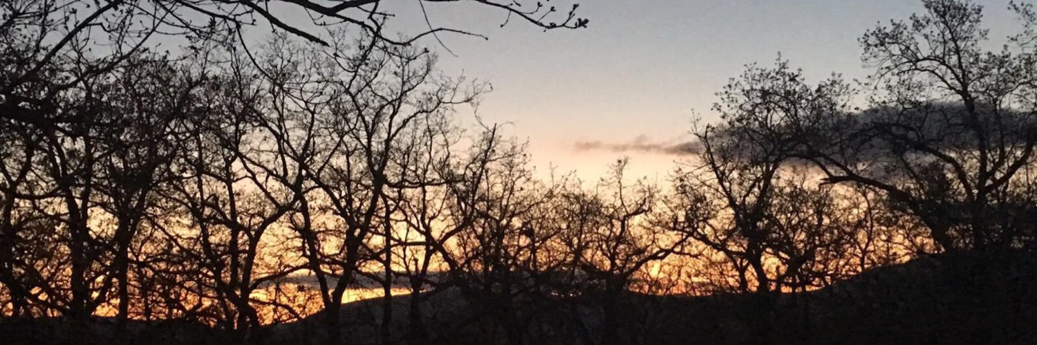 andresjoderos's profile banner image
