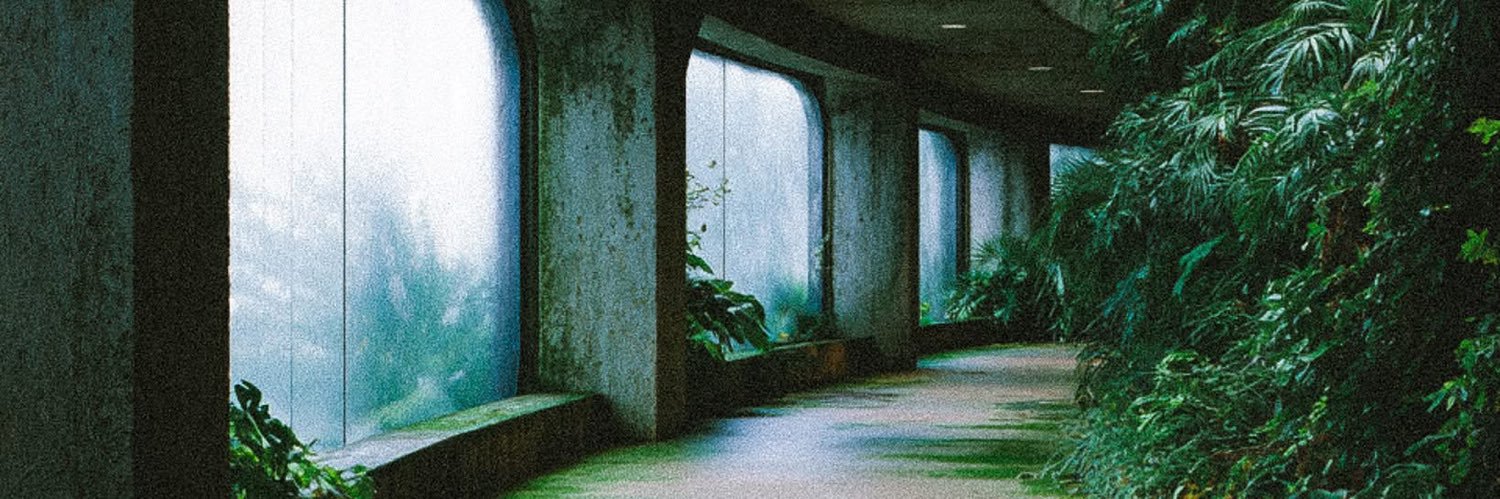DavidofHyrule1's profile banner image