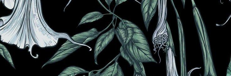 aceofhzz's profile banner image