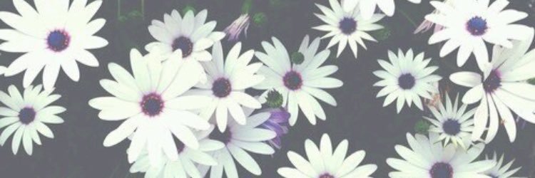 MoDawg4lyfe's profile banner image