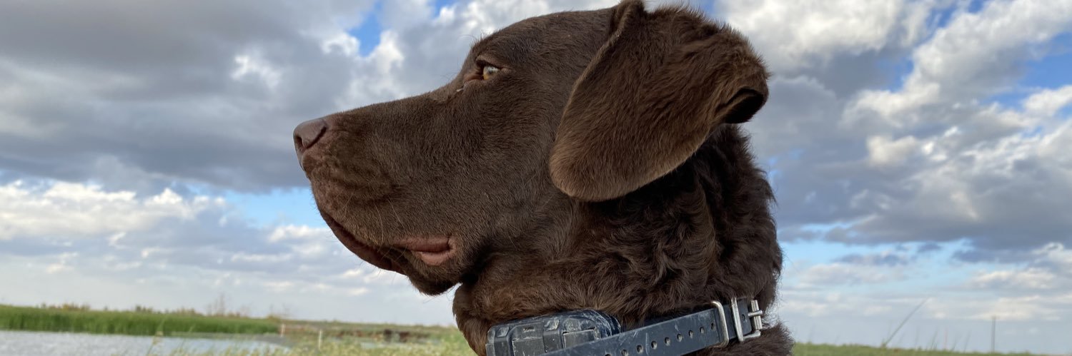 BrynPorter's profile banner image