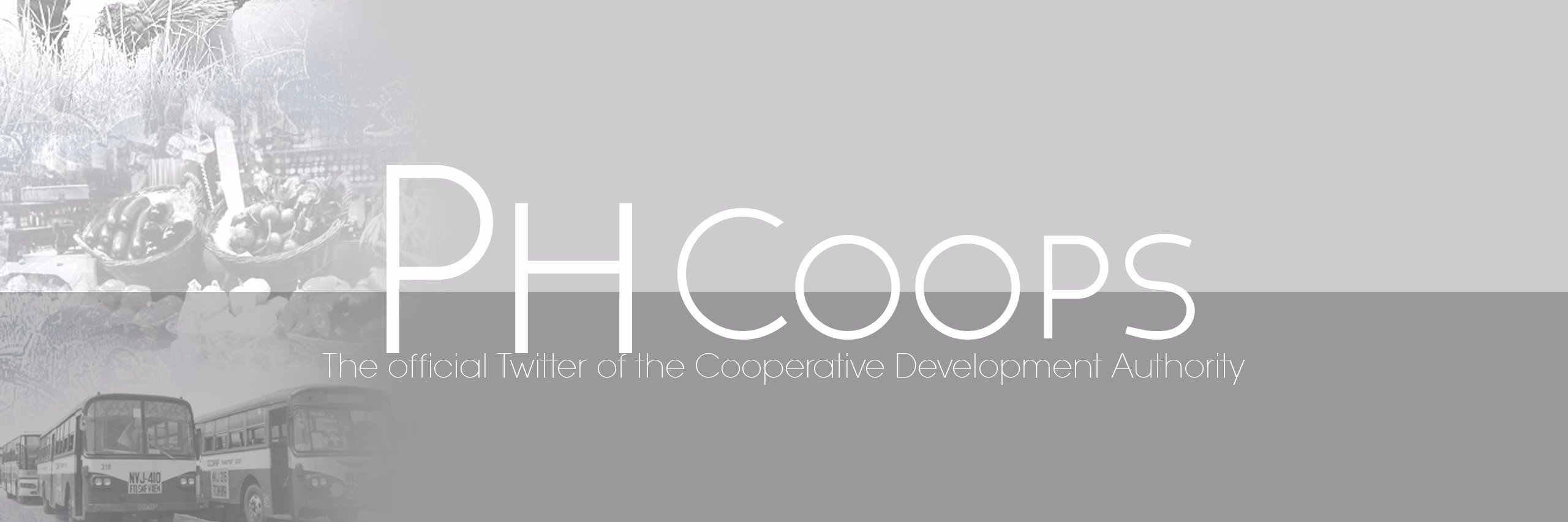 cdaphilippines's profile banner image