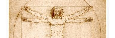 Marc van Rooij banner