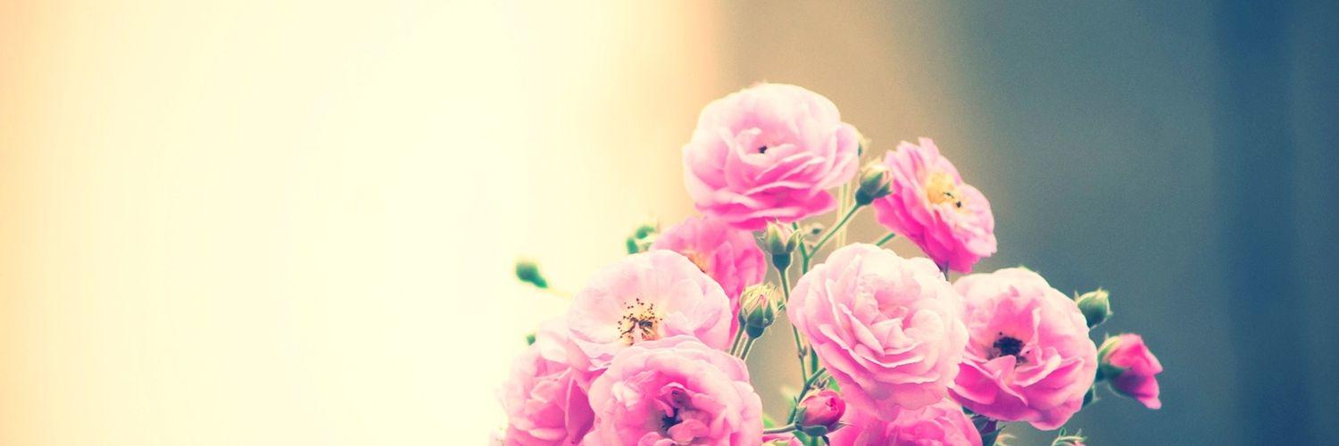 ViaUmlas's profile banner image