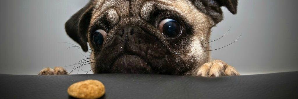 mad_lexa's profile banner image