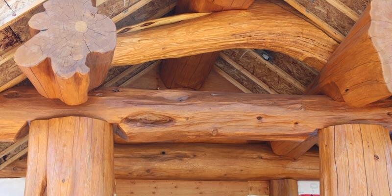 todd plandowski banner