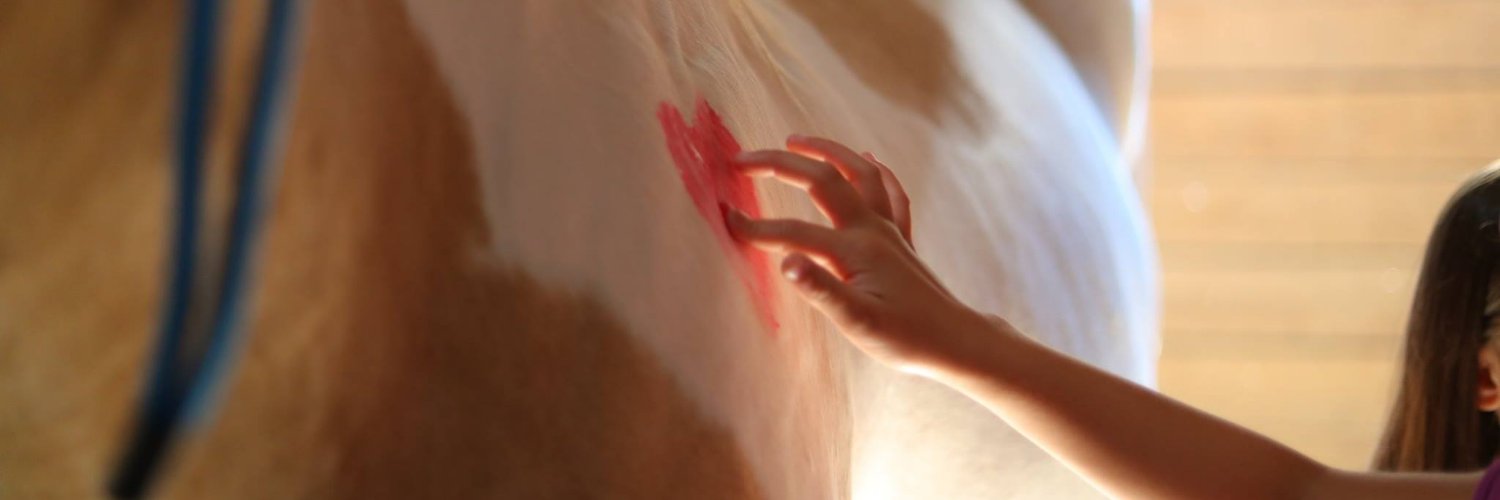 BitofHopeRanch's profile banner image