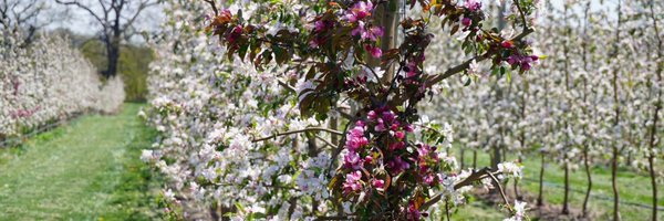 SBrown97 Profile Banner