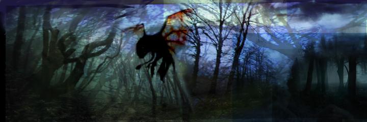 NatQuayleNelson's profile banner image