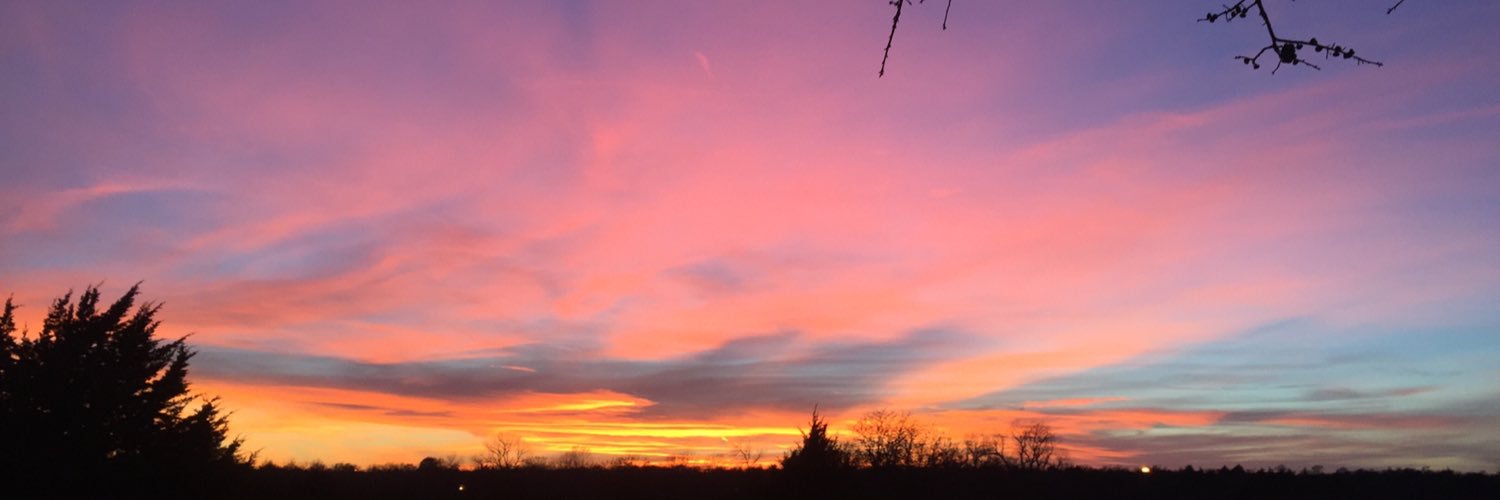 Miz_Adams's profile banner image