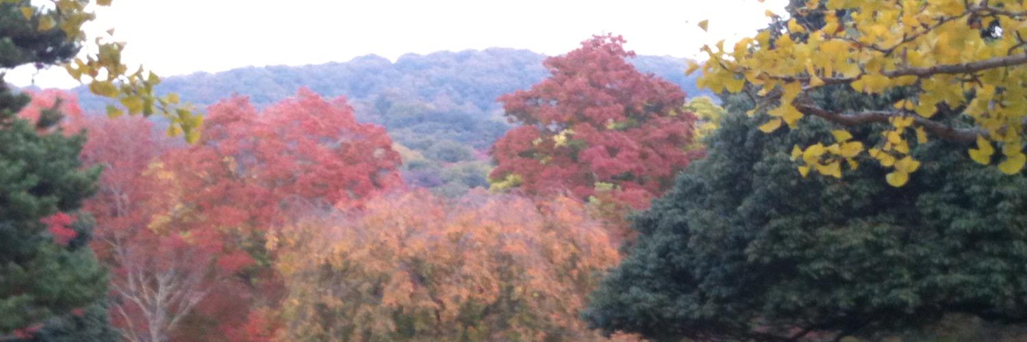 twittaem's profile banner image