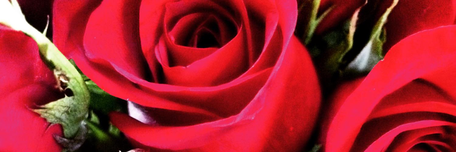srich_92's profile banner image