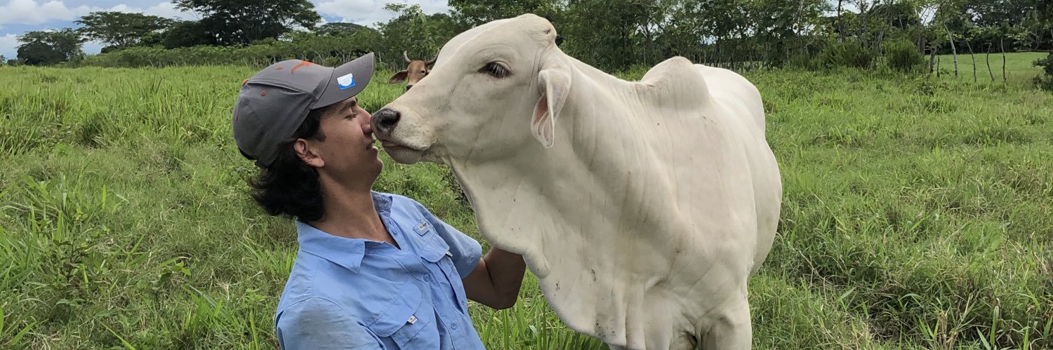 rodrigomere's profile banner image