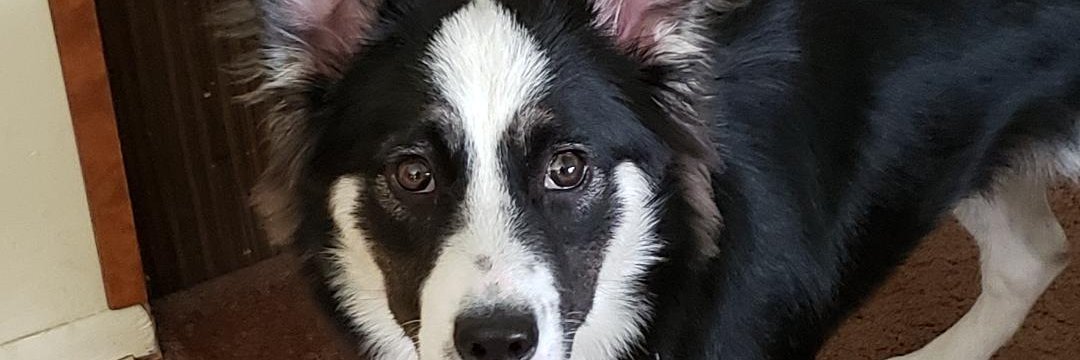 judyf23's profile banner image