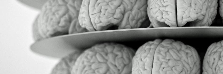 NeuroAvalanche's profile banner image