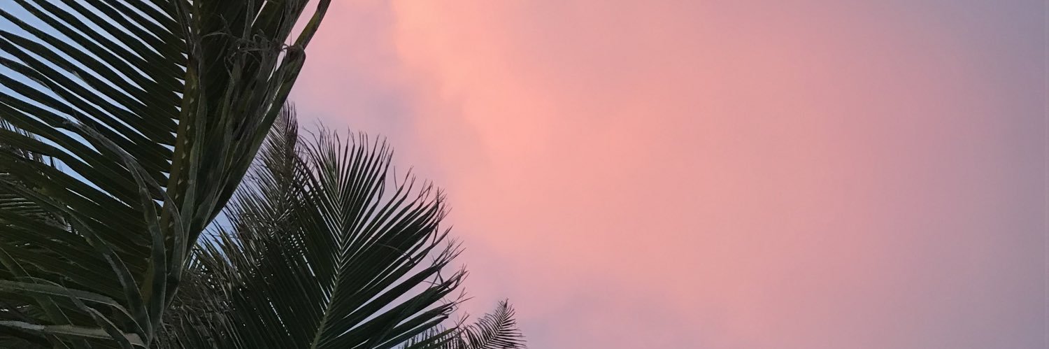 FioreeCopertari's profile banner image