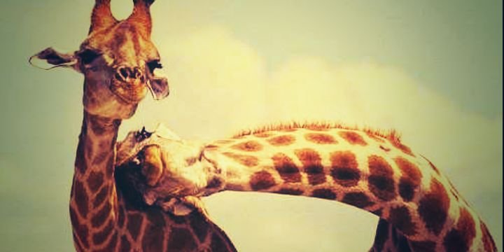 TaniaRabal_ct's profile banner image