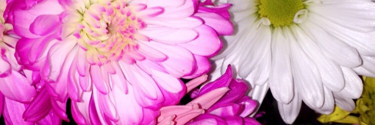 RoniKoren4's profile banner image
