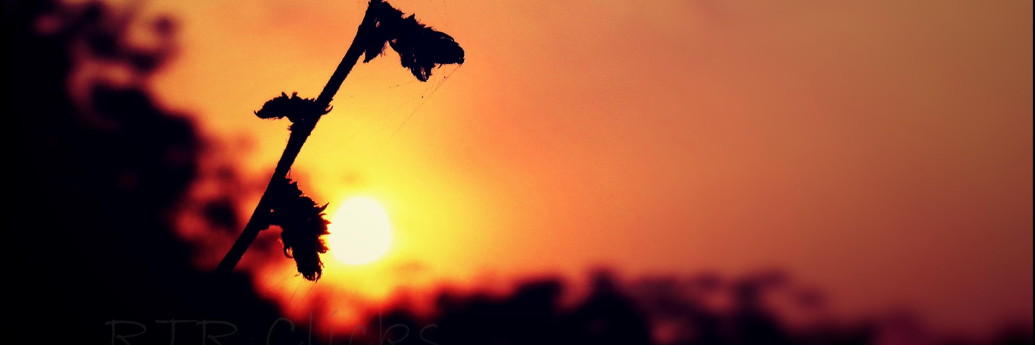 TrRagesh's profile banner image