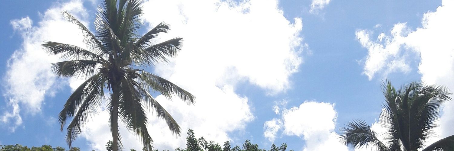 melicampana's profile banner image