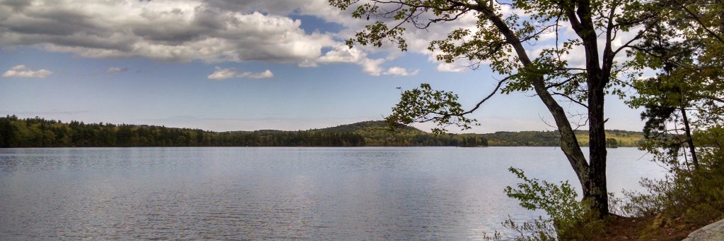 WattsJosiah's profile banner image