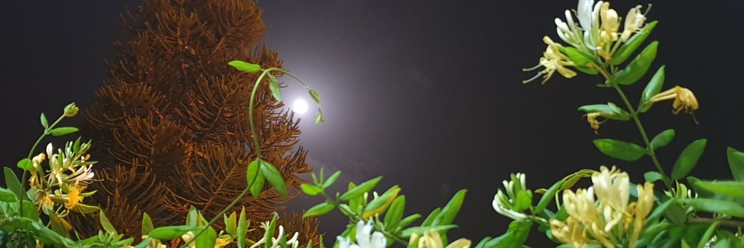 HSufran's profile banner image