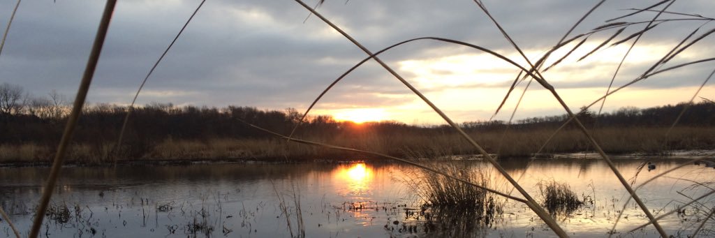 marcspunaugle's profile banner image